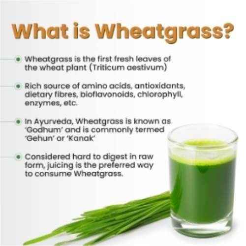 WheatGrass Health Juice